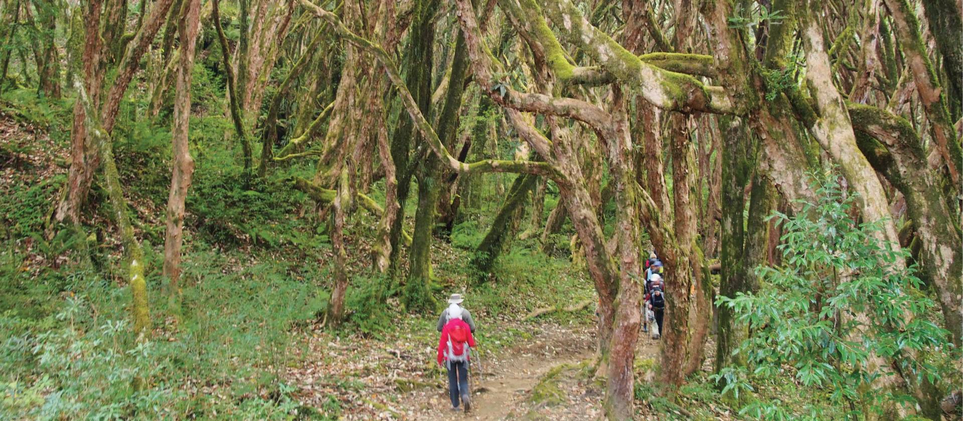 Tadapani in the Annapurna region, Nepal | Jake Hutchins
