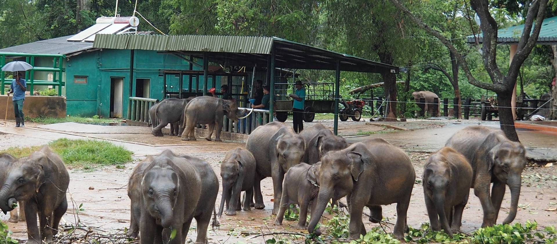 Beautiful scenery as we explore Udawalawe Elephant Transit Home | Scott Pinnegar