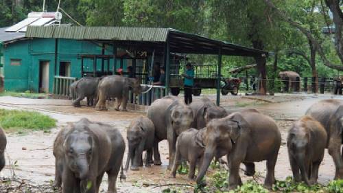 Beautiful scenery as we explore Udawalawe Elephant Transit Home | Scott Pinnegar