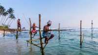 The famous Stilt fisherman of Sri Lanka |  Richard I'Anson