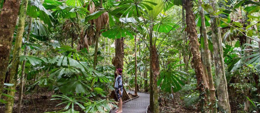 Daintree not for use