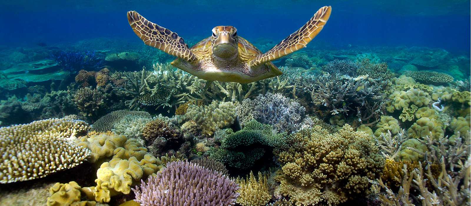 Great Barrier Reef