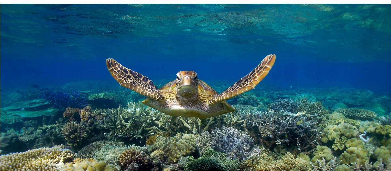 Great Barrier Reef