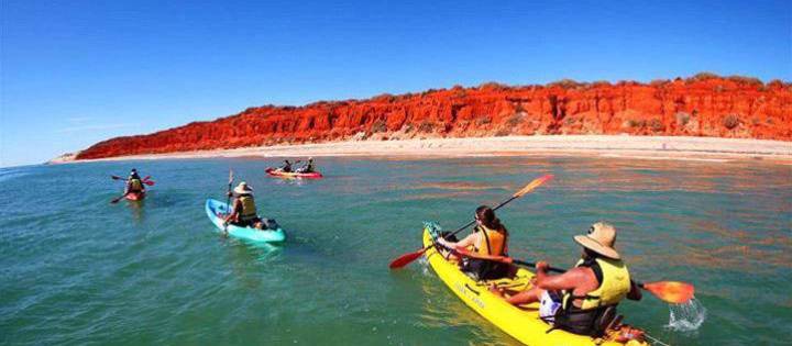 Kayak Shark Bay