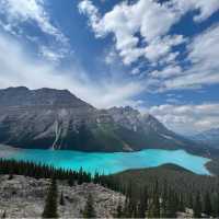 Gorgeous view from the Peyto Lake lookout | Kalaya Mckenzie