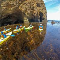 Channel Islands California group kayaking
