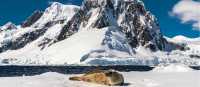 A leopard seal rests on an iceberg in Antarctica | Richard I'Anson