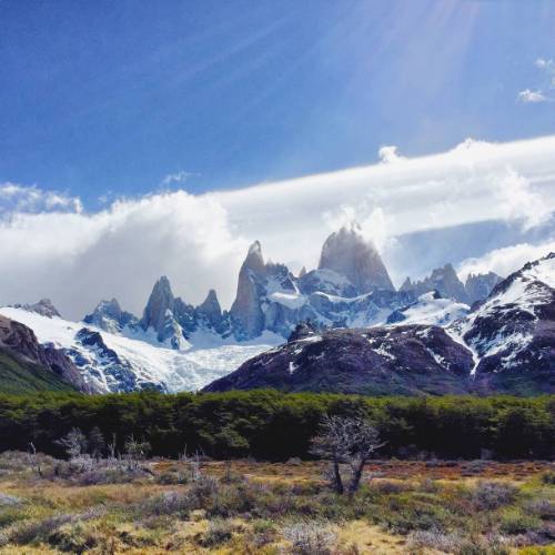 A Canadian's Guide to Exploring Argentina: Travel Tips and Highlights - Experience the Culture and Cuisine