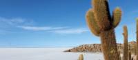 Famous cactus island of Salar de Uyuni | Karina Merkel