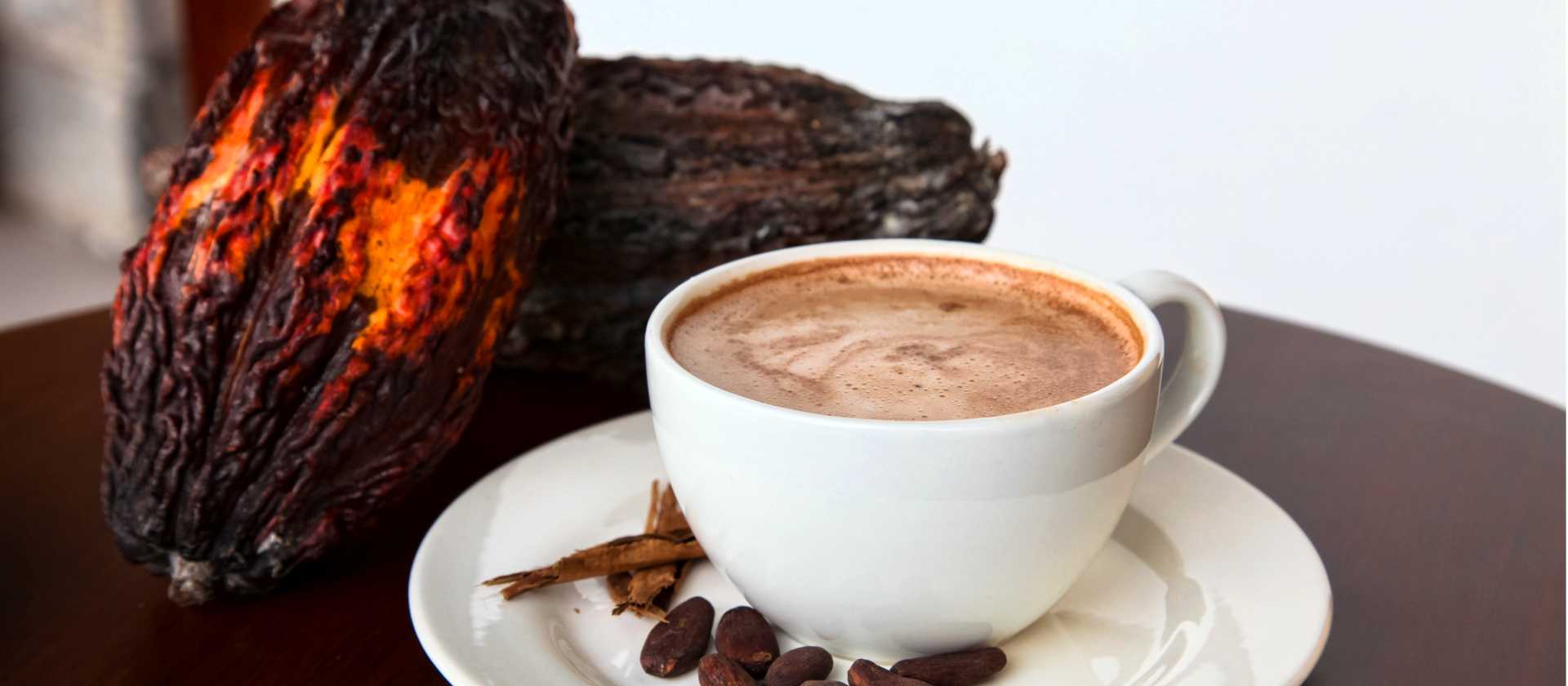 Enjoying a warm chocolatey drink after the cacao sharing ceremony