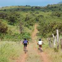 Mountain biking through the natural paths of San Cristobal