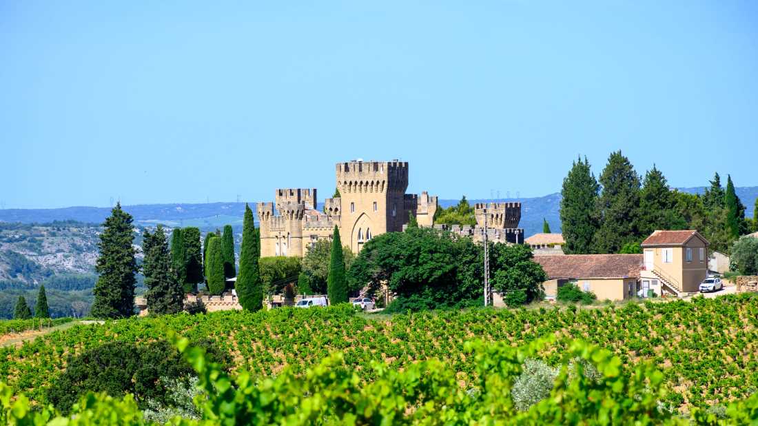 Vineyards of Chateauneuf du Pape appellation with grapes growing on soils with large rounded stones galets roules, lime stones, gravels, sand and clay, famous full body red wines, France |  barmalini