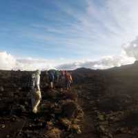 School group trekking on Mt Kilimanjaro | Eva Moon