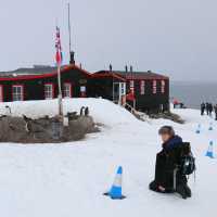 Student keeping within a responsible distance of the wildlife in Antarctica | Brendan Stewart