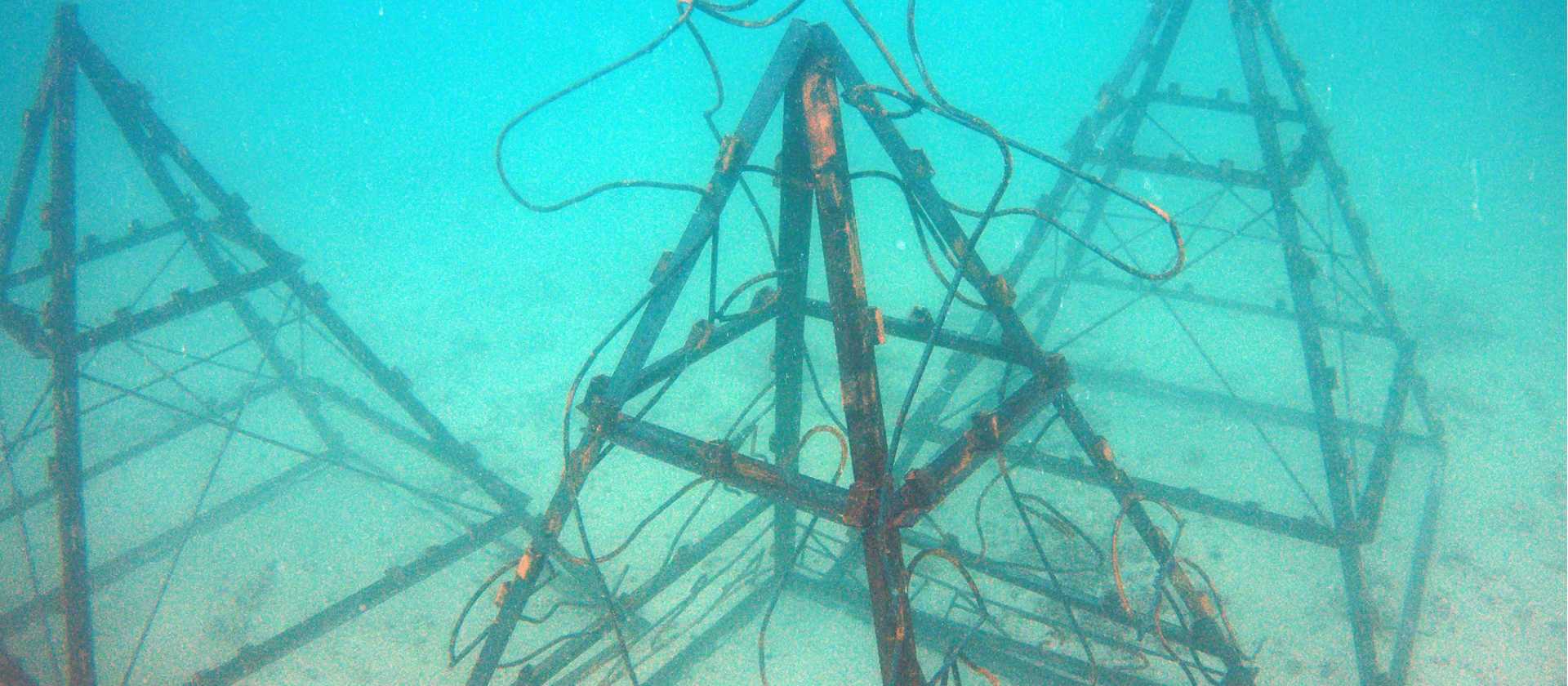 Laying the artificial coral reefs students help to create