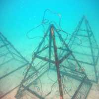 Laying the artificial coral reefs students help to create