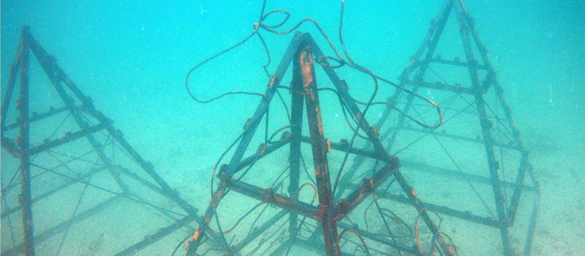 Laying the artificial coral reefs students help to create