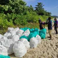 Piles of rubbish collected on our beach clean up program