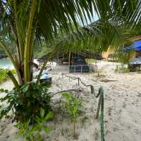 Camping on Pangkor Island, Malaysia, Malaysia marine and jungle conservation