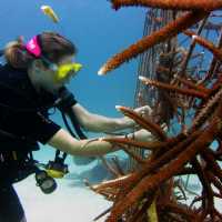 Our partners working on the artificial coral that students create