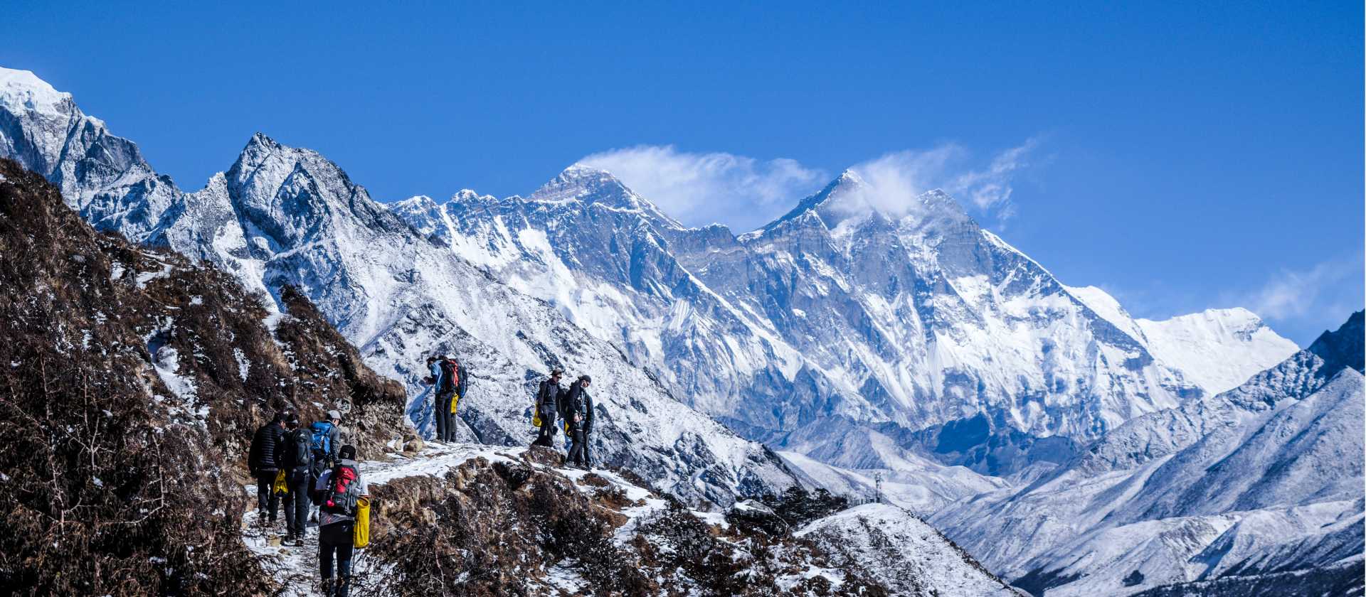 DSC_0529 | Dylan Howard