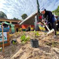 Tree planting is a critical part of our coastal restoration work