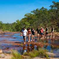 Students hiking in Kakadu National Park | Tourism NT/Shaana McNaught