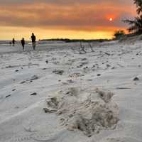 Beach sunset Tiwi Islands | Joe Lodge