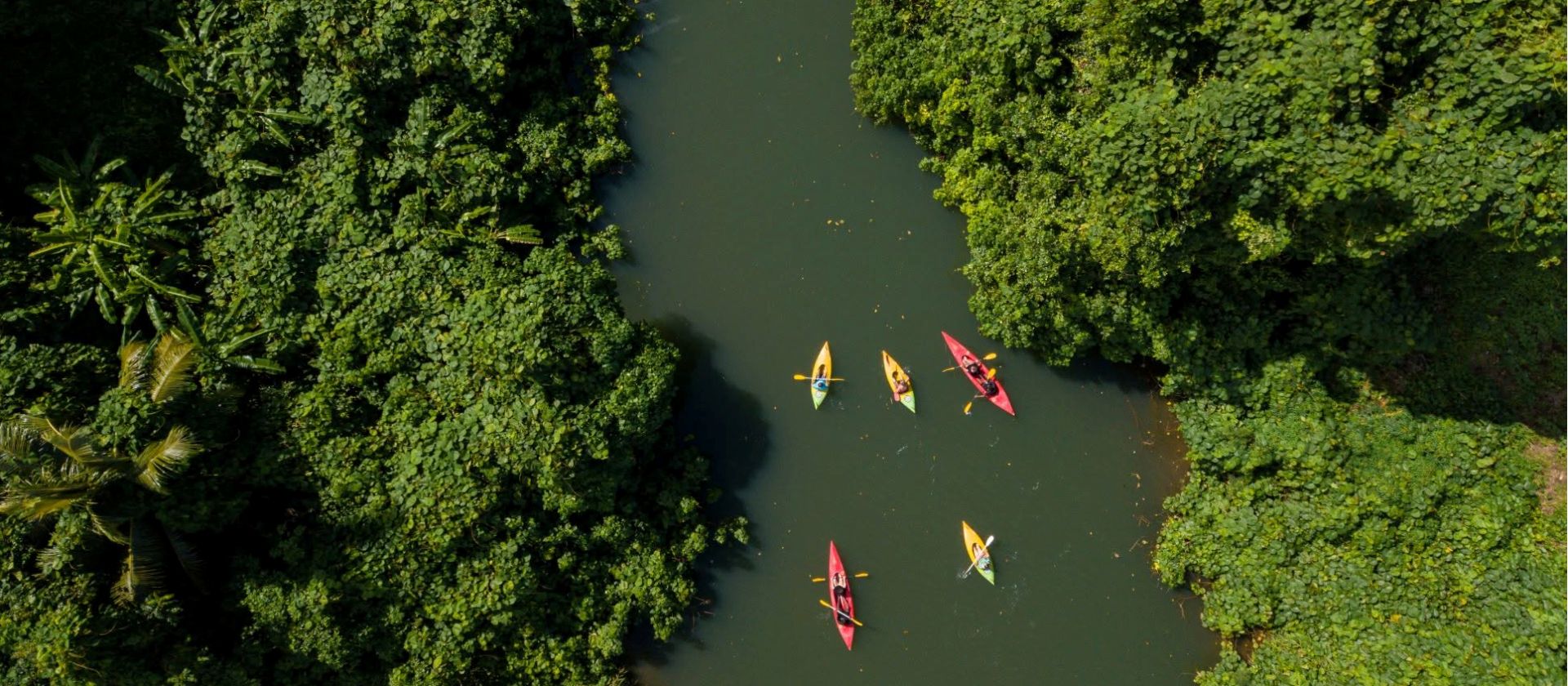 Aerial view of kayaking on river in Vanuatu
