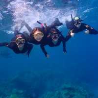 Students Snorkelling in the Great Barrier Reef