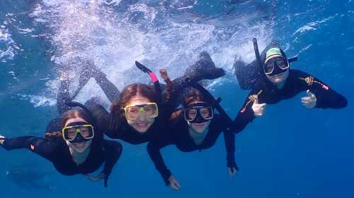 Students Snorkelling in the Great Barrier Reef