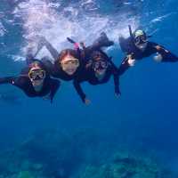 Students Snorkelling in the Great Barrier Reef