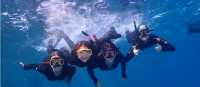 Students Snorkelling in the Great Barrier Reef