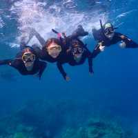 Students Snorkelling in the Great Barrier Reef