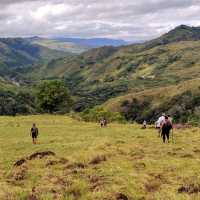 Trek through Fiji's highlands in the heart of Viti Levu | Talanoa Treks
