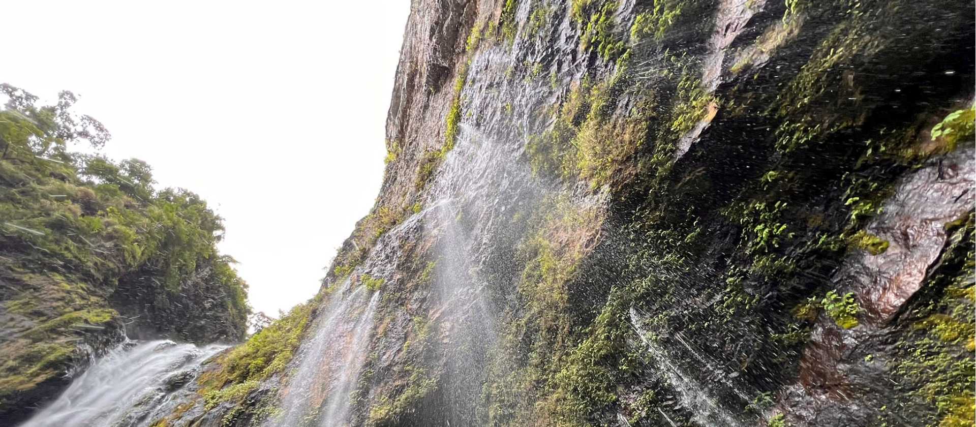 Look up in awe at the water cascading down Savulelele, Fiji's tallest waterfall | Talanoa Treks