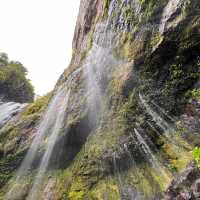 Look up in awe at the water cascading down Savulelele, Fiji's tallest waterfall | Talanoa Treks