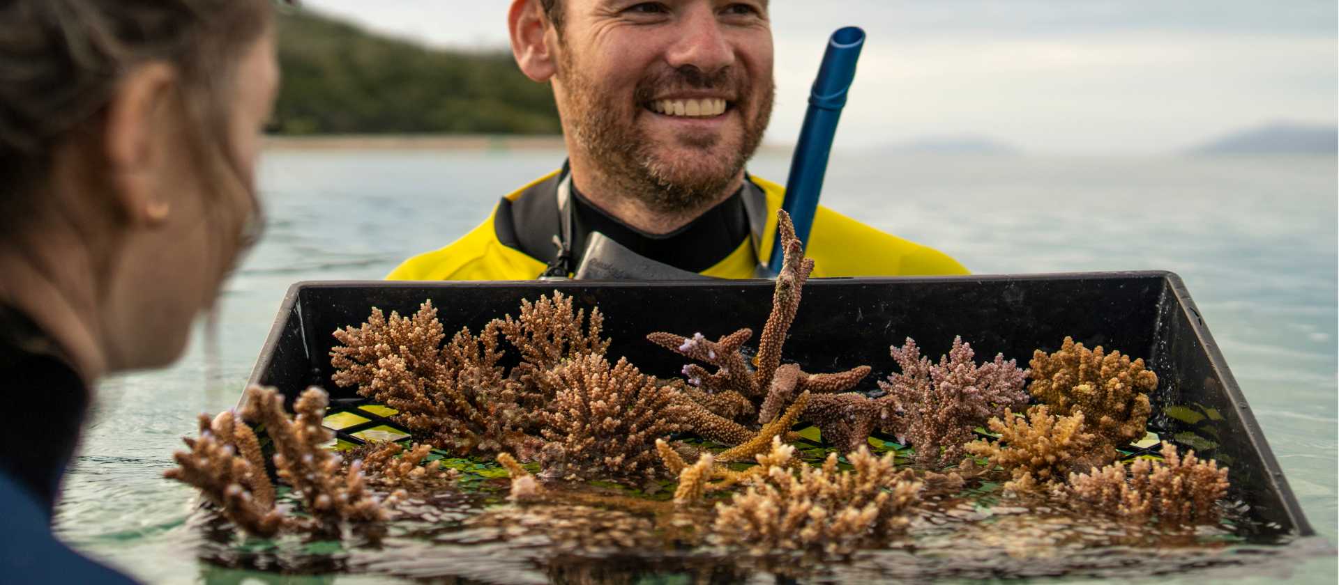 Coral Watch conservation service program, Far North Queensland | Tourism and Events Queensland