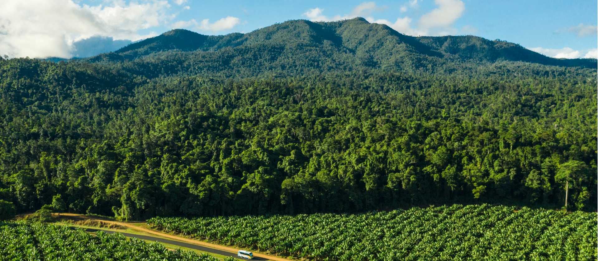 The drive North from Cairns is one of the most spectacular in Australia | Tourism and Events Queensland