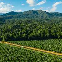 The drive North from Cairns is one of the most spectacular in Australia | Tourism and Events Queensland