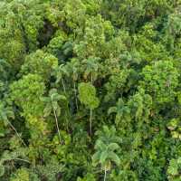 Exploring the wilderness at Daintree rainforest | Tourism and Events Queensland