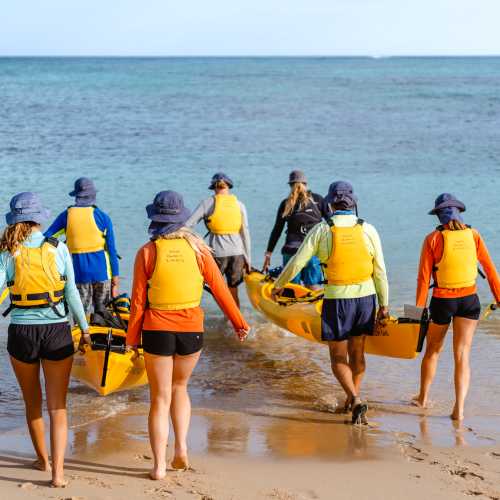 Students launching their kayaks, ready to continue their kayaking expedition.