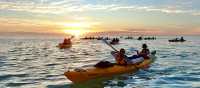 Enjoying a beautiful sunset over the ocean as students paddle toward camp for the evening
