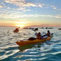 Enjoying a beautiful sunset over the ocean as students paddle toward camp for the evening