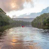Kayaking on the Pieman River, West Tasmania | Places We Go