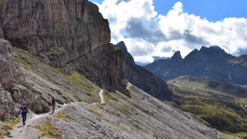Trekking along the single path under sunny skies