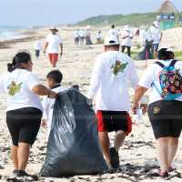 Working together to collect debris from the beaches and coastline. | EcoColours Tours