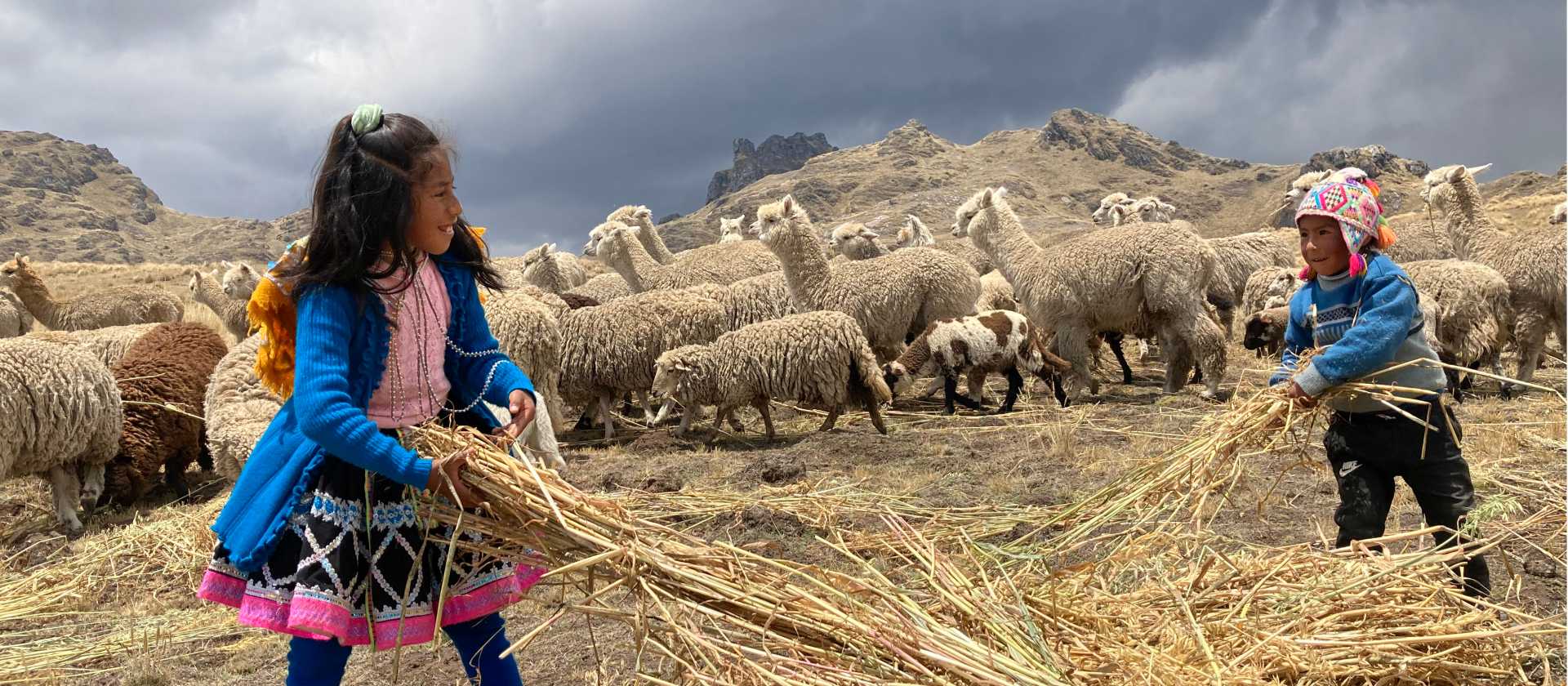 Children playing with alpacas in the Andes