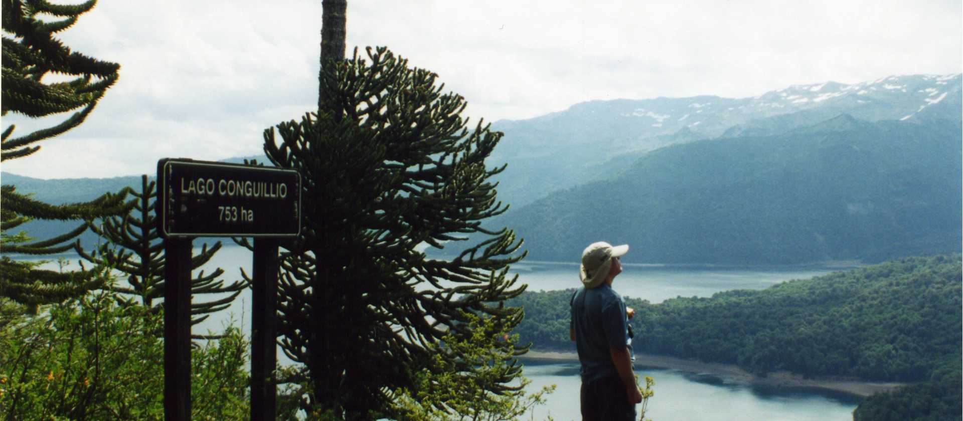Stopping for a well deserved break at a lookout point in Conguillio National Park | Amity Tours