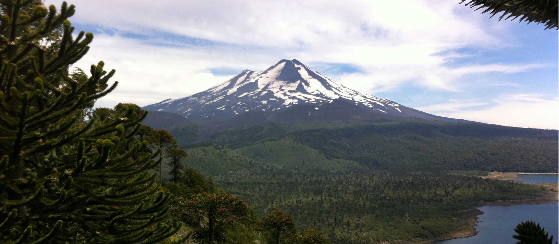 The snowy mountain tops in the distance in Conguillio National Park | Amity Tours